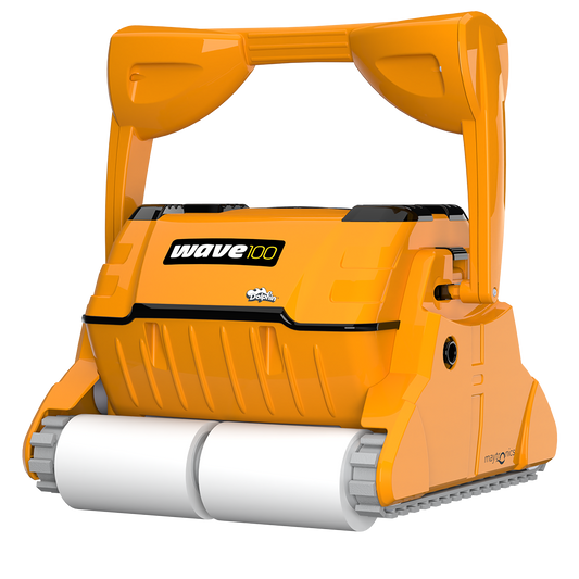 Bild vom Dolphin Wave 100 mit Canebo-Bürste