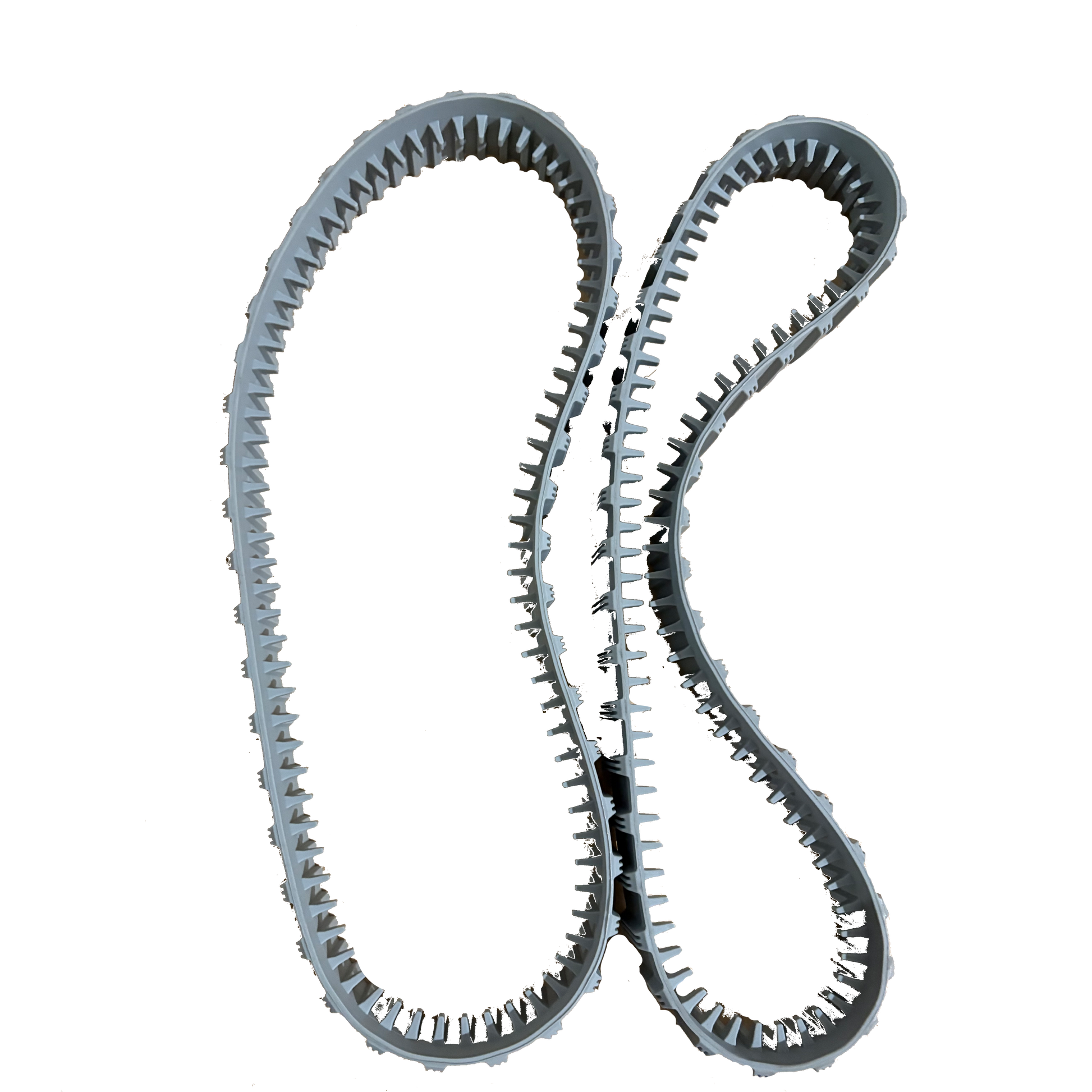 Zahnriemen 125259205 BWT